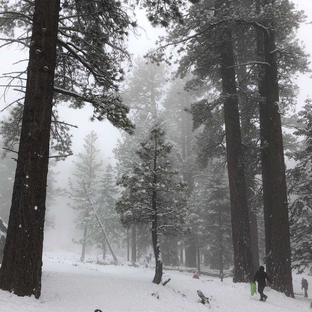 Meet your Posher, Van